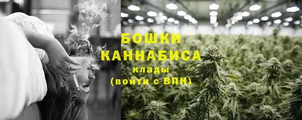 spice Покачи